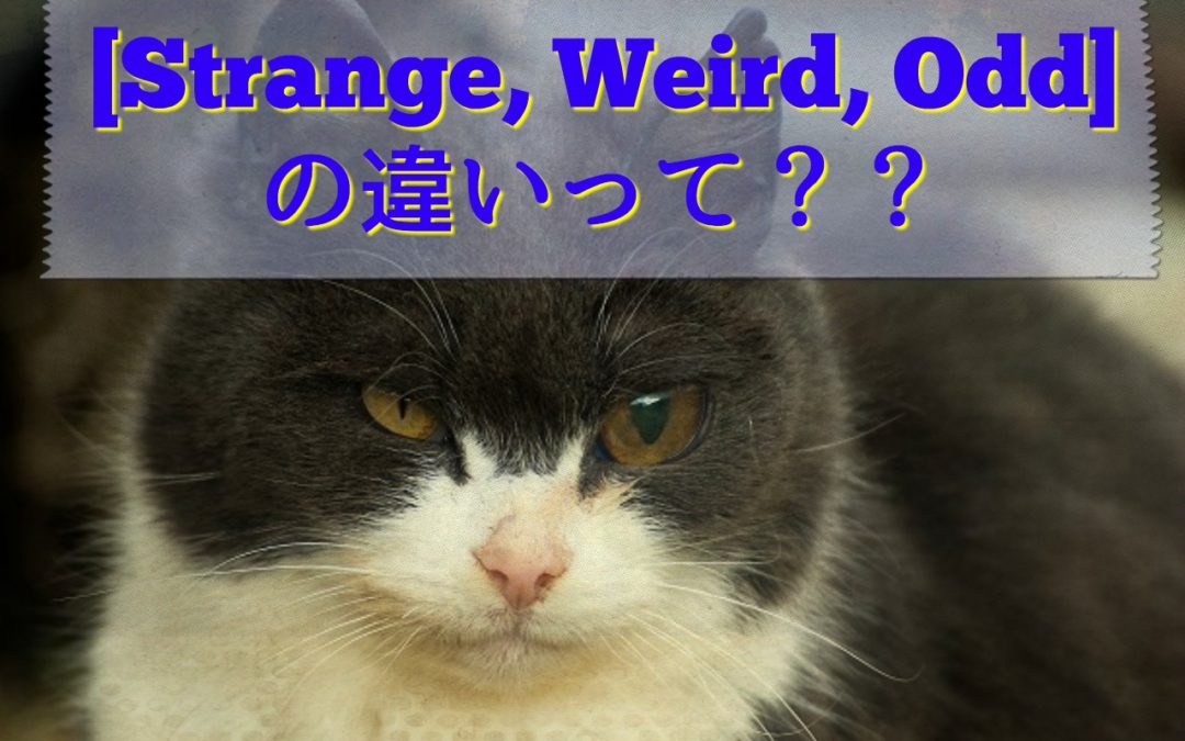 [Strange, Weird, Odd] の違いって？