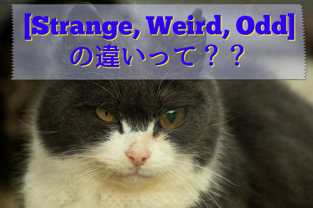 [Strange, Weird, Odd] の違いって？ - ひみママ英会話